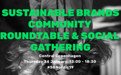 Join me at Sustainable Brands Nordic on 24 January!